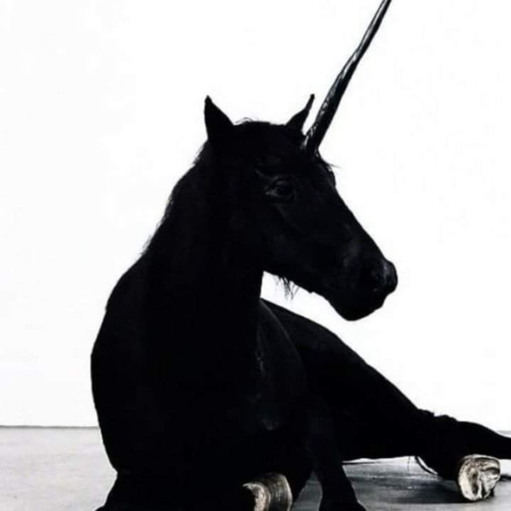 Meet your Posher, Jhara